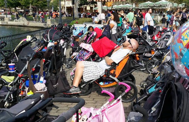 morning picdump 51 pics 18.html - 51 HD Photos | Premium Gallery 2017