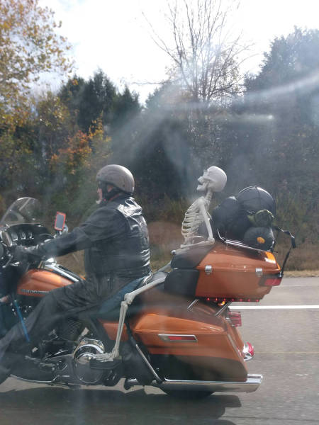 morning picdump 54 pics 9.html - 54 HD Photos | Premium Gallery 2017