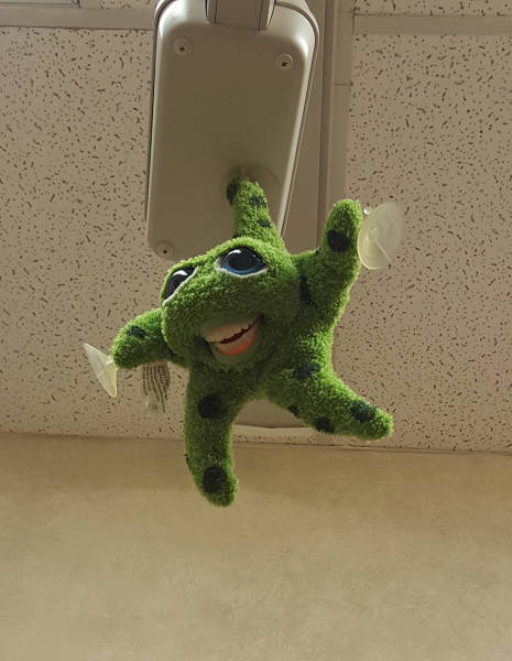 morning picdump 54 pics 9.html - 54 HD Photos | Premium Gallery 2017