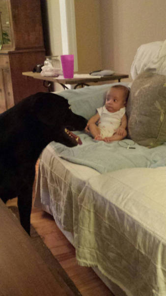 morning picdump 54 pics 9.html - 54 HD Photos | Premium Gallery 2017