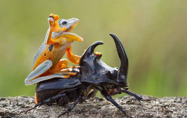 daily picdump 97 pics 45.html - 97 HD Photos | Premium Gallery 2017