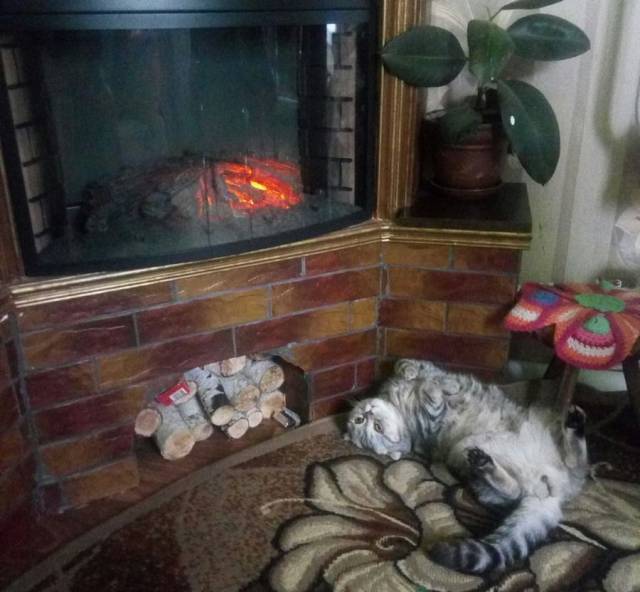 daily picdump 97 pics 45.html - 97 HD Photos | Premium Gallery 2017