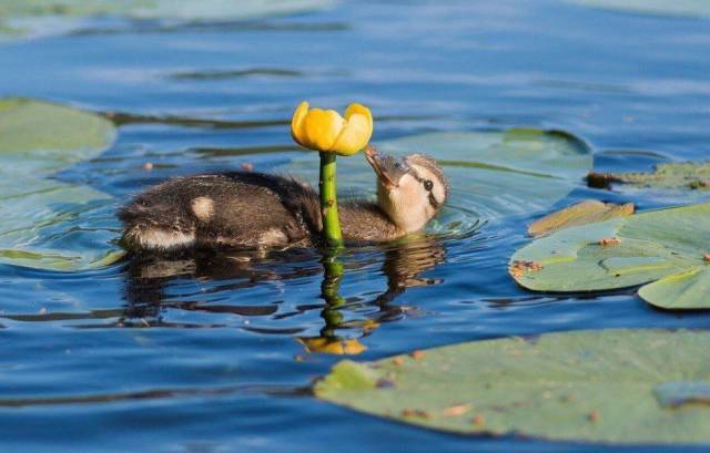 daily picdump 97 pics 45.html - 97 HD Photos | Premium Gallery 2017