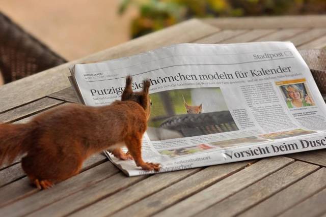 daily picdump 97 pics 45.html - 97 HD Photos | Premium Gallery 2017