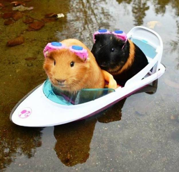 daily picdump 97 pics 45.html - 97 HD Photos | Premium Gallery 2017