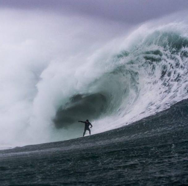 daily picdump 97 pics 45.html - 97 HD Photos | Premium Gallery 2017