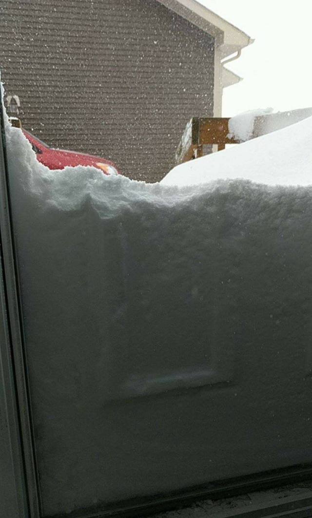 daily picdump 97 pics 45.html - 97 HD Photos | Premium Gallery 2017