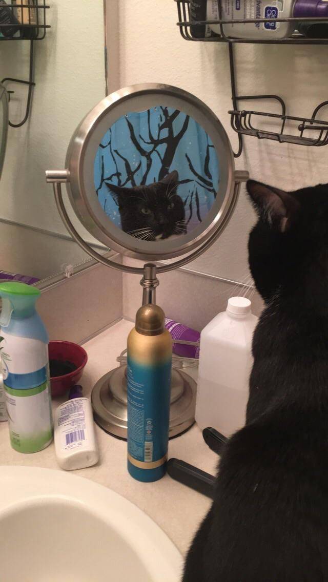 daily picdump 97 pics 45.html - 97 HD Photos | Premium Gallery 2017