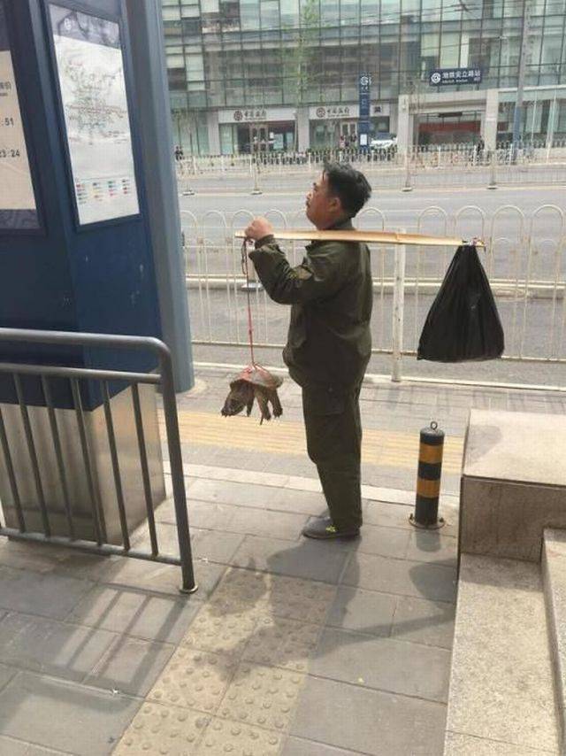 daily picdump 97 pics 45.html - 97 HD Photos | Premium Gallery 2017