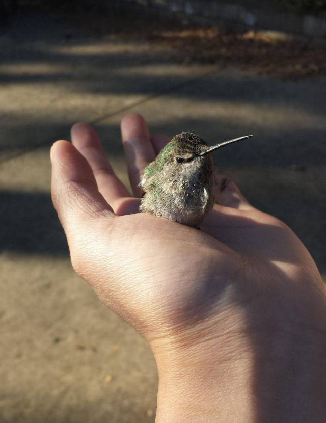 daily picdump 97 pics 45.html - 97 HD Photos | Premium Gallery 2017