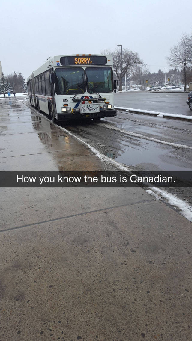 Morning Picdump
