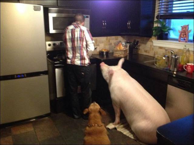 daily picdump 90 pics 28.html - 90 HD Photos | Premium Gallery 2017