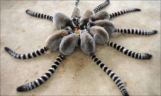 daily picdump 90 pics 28.html - 90 HD Photos | Premium Gallery 2017