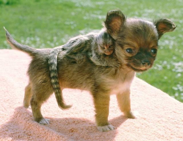 daily picdump 90 pics 28.html - 90 HD Photos | Premium Gallery 2017