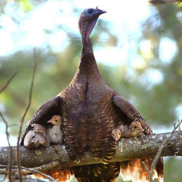 daily picdump 90 pics 28.html - 90 HD Photos | Premium Gallery 2017