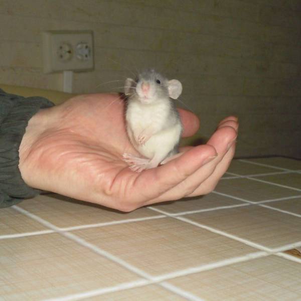 daily picdump 90 pics 28.html - 90 HD Photos | Premium Gallery 2017