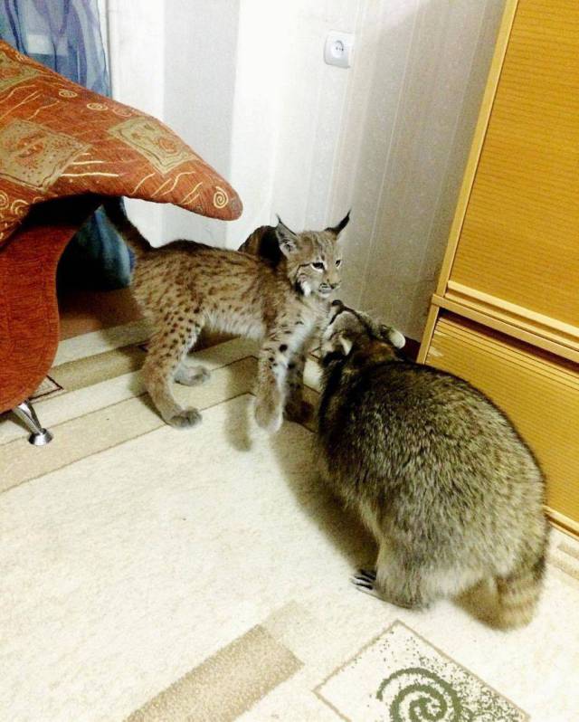 daily picdump 90 pics 28.html - 90 HD Photos | Premium Gallery 2017