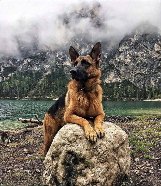 daily picdump 90 pics 28.html - 90 HD Photos | Premium Gallery 2017