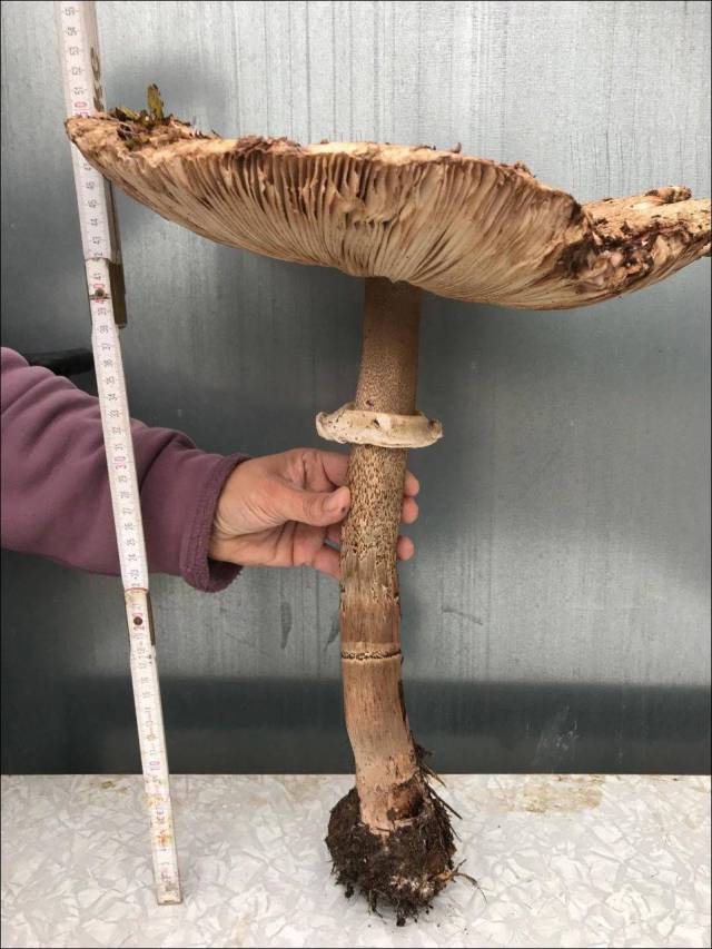 daily picdump 90 pics 28.html - 90 HD Photos | Premium Gallery 2017