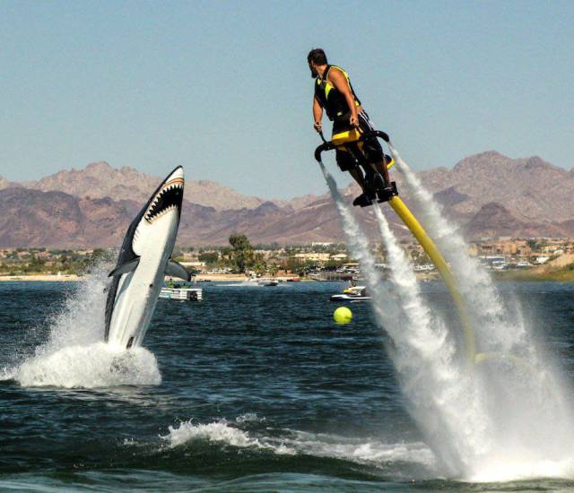 Daily Picdump [WEEKEND EDITION]