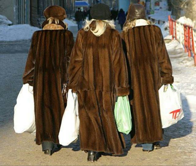 daily picdump weekend edition 66 pics 31.html - 66 HD Photos | Premium Gallery 2017