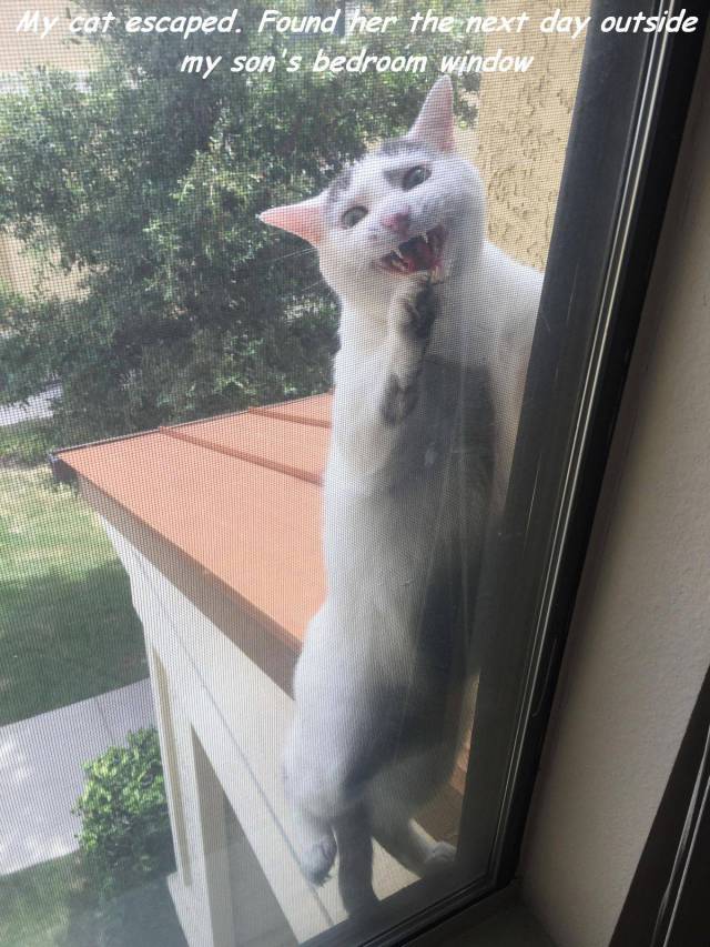 Daily Picdump [WEEKEND EDITION]