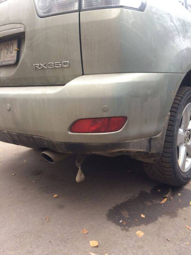 daily picdump weekend edition 66 pics 31.html - 66 HD Photos | Premium Gallery 2017