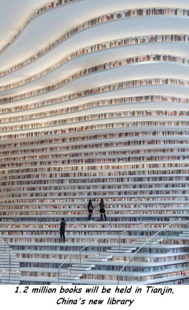 daily picdump weekend edition 66 pics 31.html - 66 HD Photos | Premium Gallery 2017