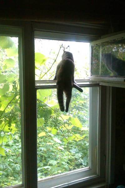 daily picdump 80 pics 28.html - 80 HD Photos | Premium Gallery 2017