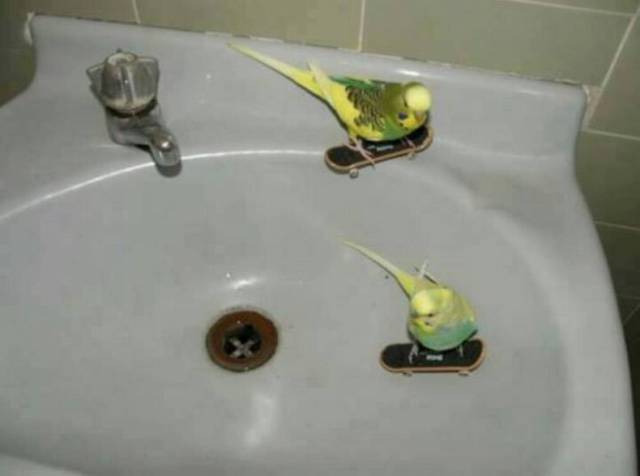 daily picdump 80 pics 28.html - 80 HD Photos | Premium Gallery 2017