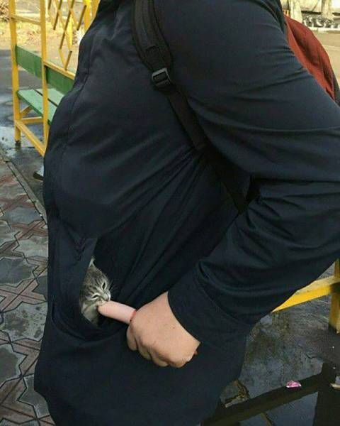 daily picdump 80 pics 28.html - 80 HD Photos | Premium Gallery 2017