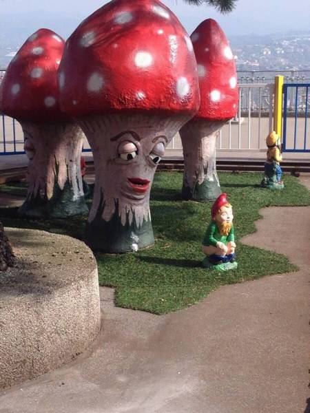 daily picdump 80 pics 28.html - 80 HD Photos | Premium Gallery 2017