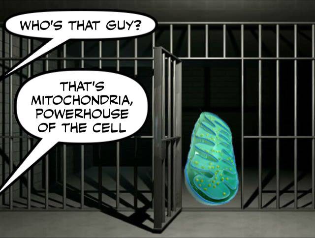 funny picdump 50 pics 20.html - 50 HD Photos | Premium Gallery 2017