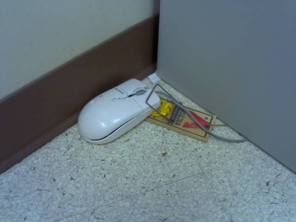 funny picdump 50 pics 21.html - 50 HD Photos | Premium Gallery 2017