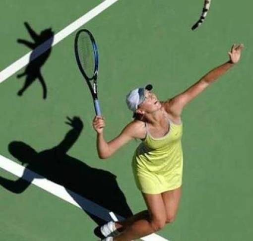 funny picdump 50 pics 21.html - 50 HD Photos | Premium Gallery 2017