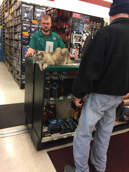 Morning Picdump