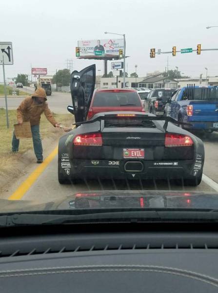 Morning Picdump