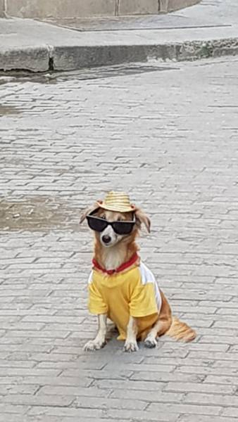 morning picdump 50 pics 18.html - 50 HD Photos | Premium Gallery 2017