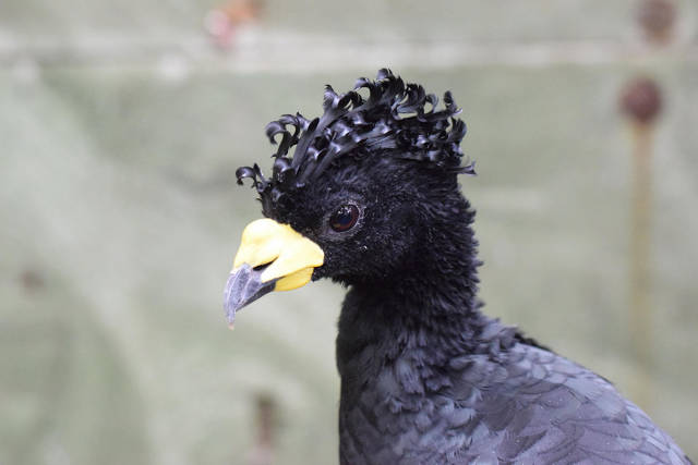 morning picdump 51 pics 19.html - 51 HD Photos | Premium Gallery 2017