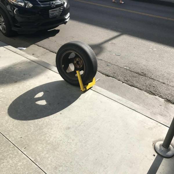 morning picdump 51 pics 19.html - 51 HD Photos | Premium Gallery 2017