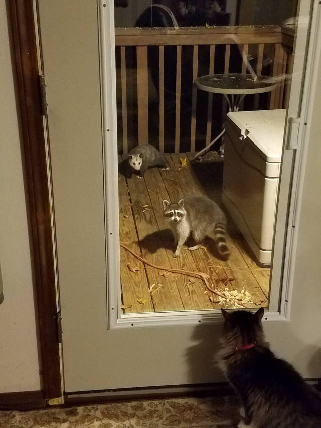 morning picdump 51 pics 19.html - 51 HD Photos | Premium Gallery 2017