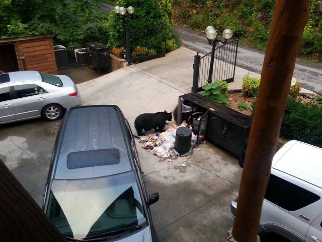 daily picdump 80 pics 36.html - 80 HD Photos | Premium Gallery 2017