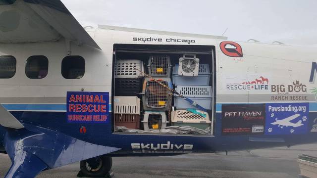 daily picdump 80 pics 36.html - 80 HD Photos | Premium Gallery 2017