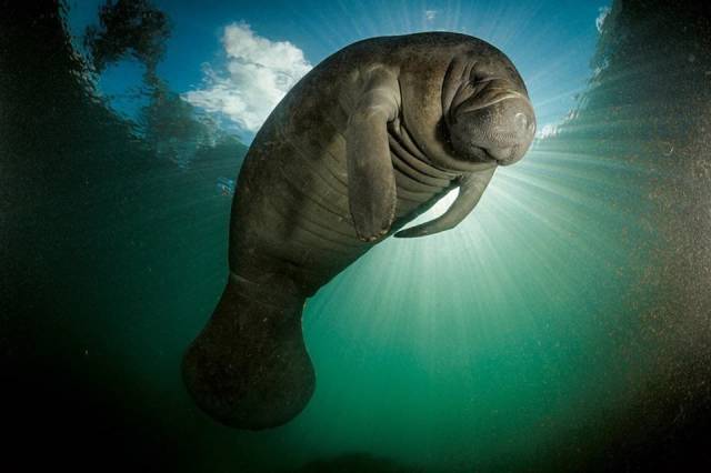 daily picdump 80 pics 36.html - 80 HD Photos | Premium Gallery 2017