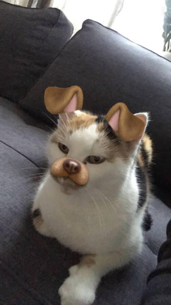 morning picdump 50 pics 17.html - 50 HD Photos | Premium Gallery 2017