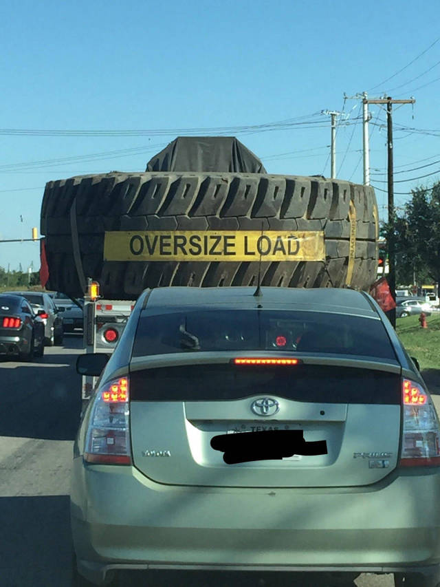 morning picdump 50 pics 17.html - 50 HD Photos | Premium Gallery 2017