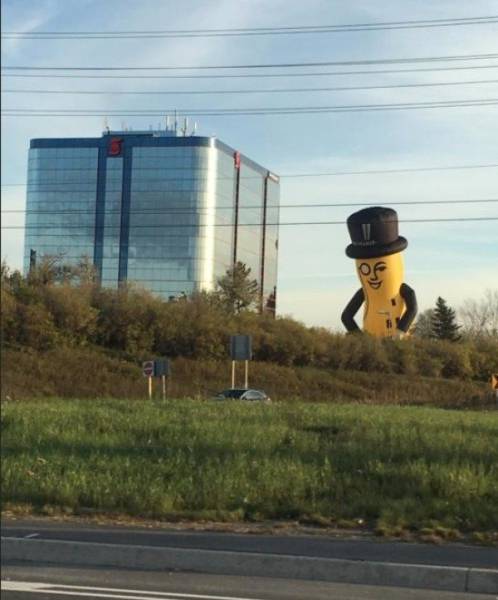 daily picdump 80 pics 18.html - 80 HD Photos | Premium Gallery 2017