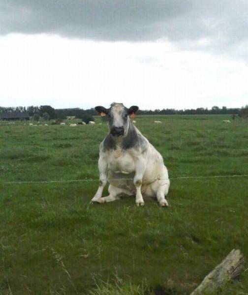 daily picdump 80 pics 18.html - 80 HD Photos | Premium Gallery 2017