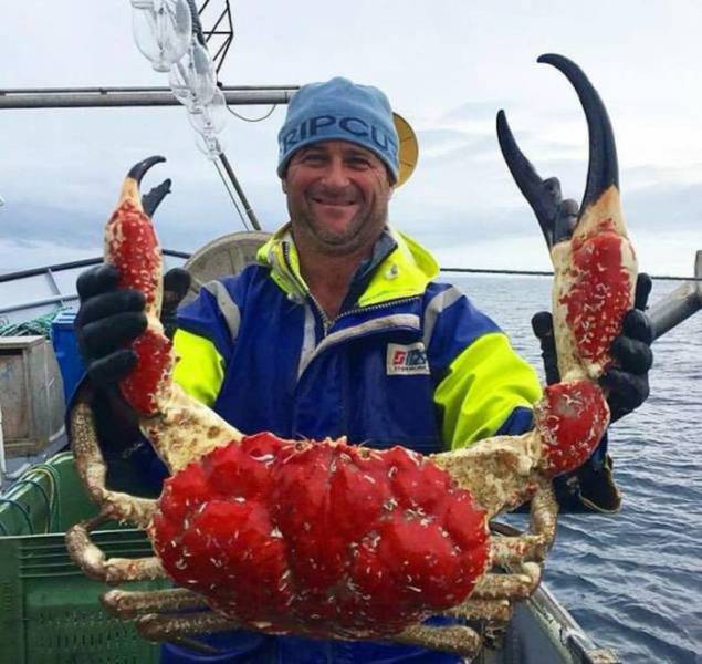 daily picdump 80 pics 18.html - 80 HD Photos | Premium Gallery 2017