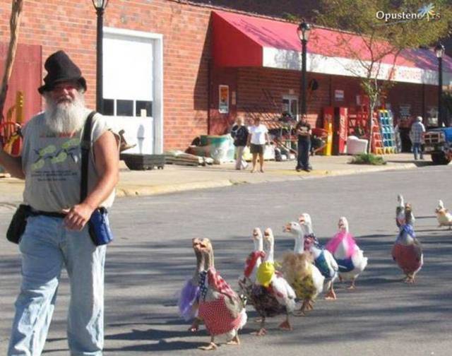 daily picdump 80 pics 18.html - 80 HD Photos | Premium Gallery 2017